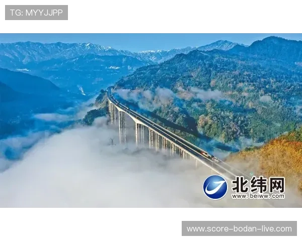 开云提现最快方法揭秘 彩票高频玩法极速提现防骗